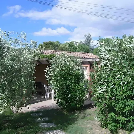 L'oliveraie * Рюом
